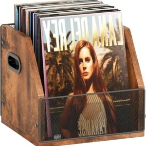 Vinyl Record Storage, Record Box Case Crate, Vinyl Record Album Holder, Desktop Metal & Wooden LP Record Crate, Holds up to 60 Records