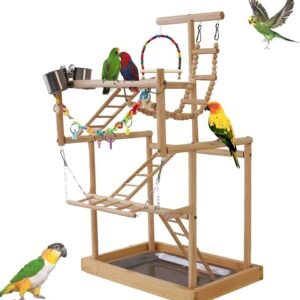 Bird Playground,4 Tier Parrots Playstand with Feeder Cups,Swings,Ladder